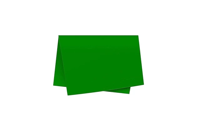 FOLHA DE PAPEL COLOR SET LISO VERDE BANDEIRA DUPLA FACE 48X66CM