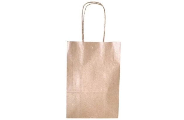 SACOLA KRAFT 21,5X15X8 P 2,6L PACOTE COM 10 UNIDADES GALA