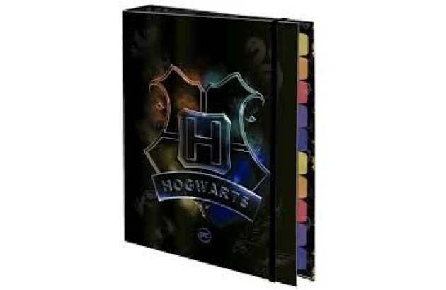 FICHARIO ARGOLADO COLEGIAL HARRY POTTER 48 FOLHA
